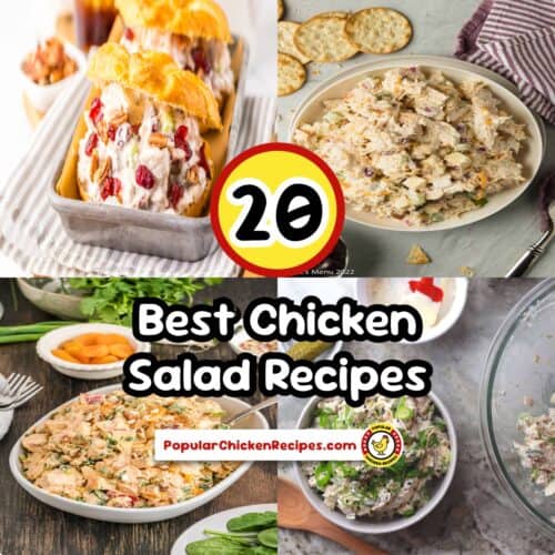Delicious chicken salad recipes with fresh ingredients for healthy meals and quick lunches.